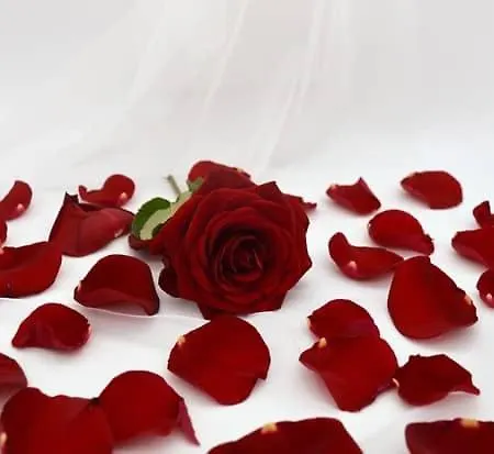 Bulle Au Fil De L'eau Romilly-sur-Andelle