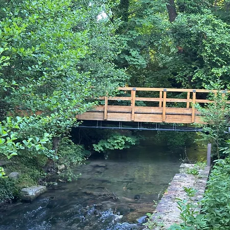 Bulle Au Fil De L'eau